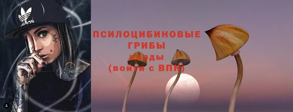 прущий лед Киренск