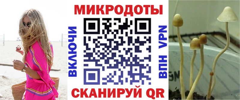 Купить где Усть-Лабинск Галлюциногенные грибы GOLDEN TEACHER